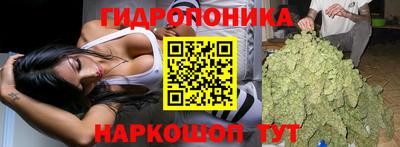 apvp Комсомольск-на-Амуре