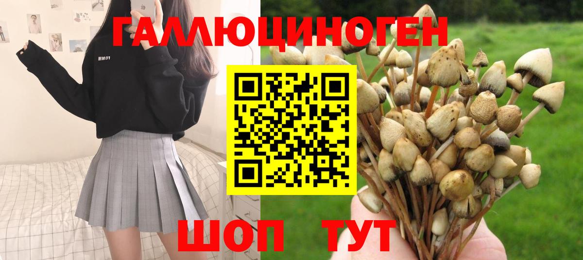 Псилоцибиновые грибы MAGIC MUSHROOMS Курск