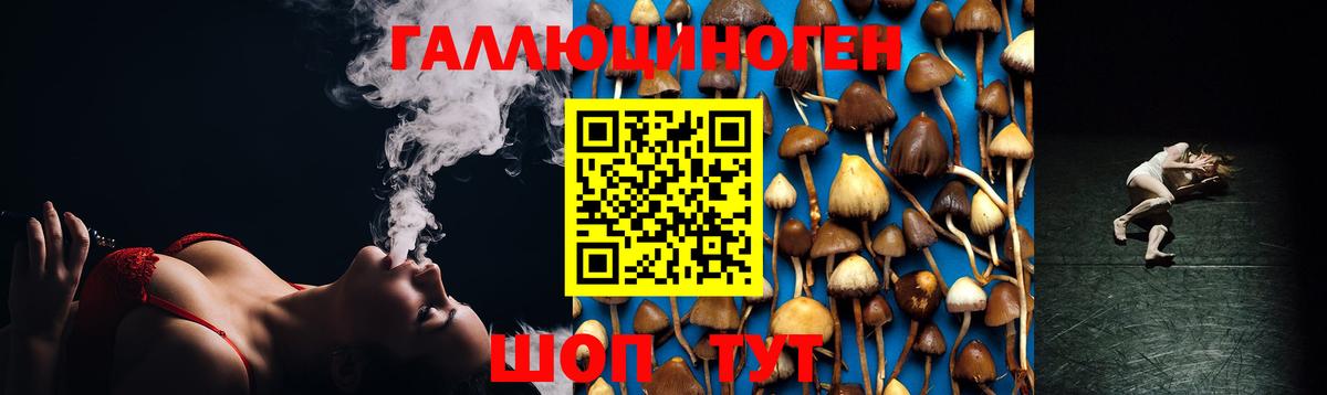 Курск  где купить наркоту  Вход с VPN  Псилоцибиновые грибы Magic Shrooms 
